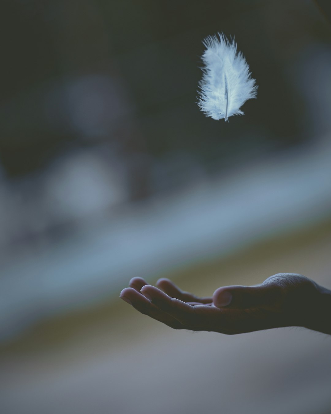 Beneficios del Yoga Matutino
